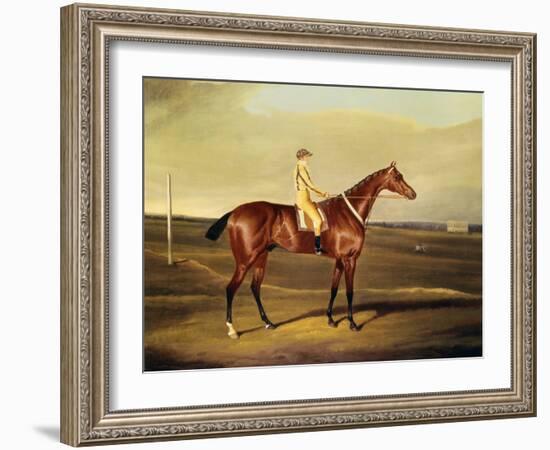 The Hon. Robert Grosvenor's Tawpy-David of York Dalby-Framed Giclee Print