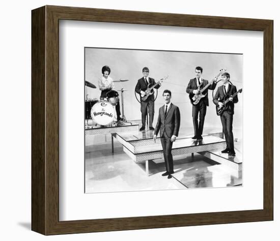 The Honeycombs-null-Framed Photo