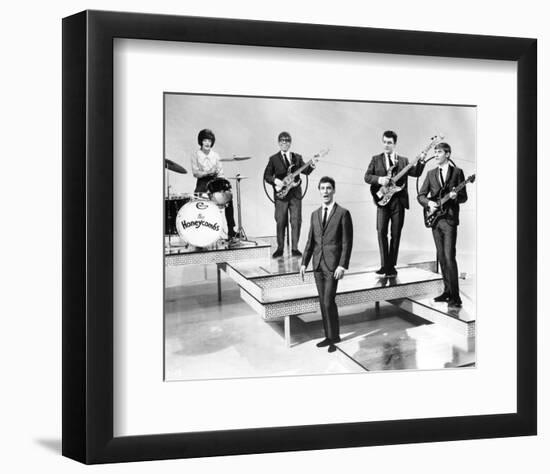 The Honeycombs-null-Framed Photo