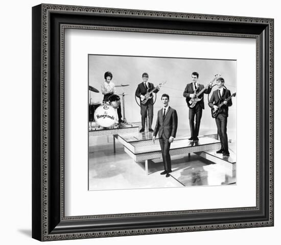 The Honeycombs-null-Framed Photo