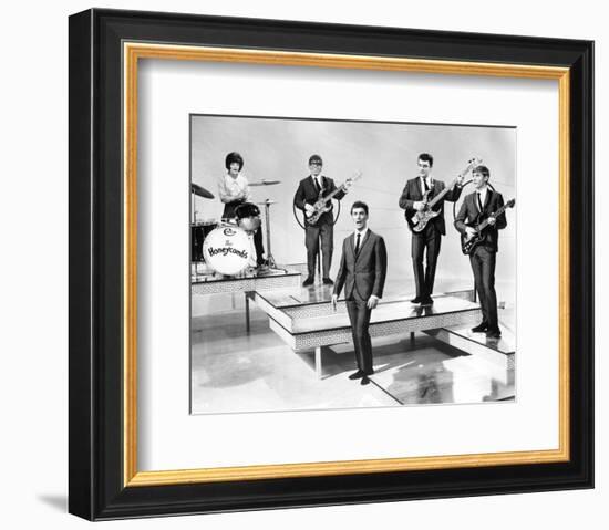 The Honeycombs-null-Framed Photo