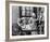 The Honeymooners-null-Framed Photo