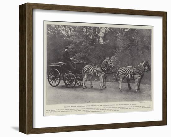 The Honourable Walter Rothschild-null-Framed Giclee Print