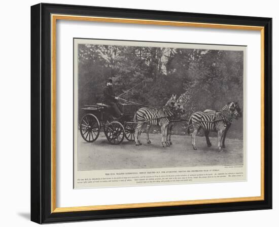 The Honourable Walter Rothschild-null-Framed Giclee Print