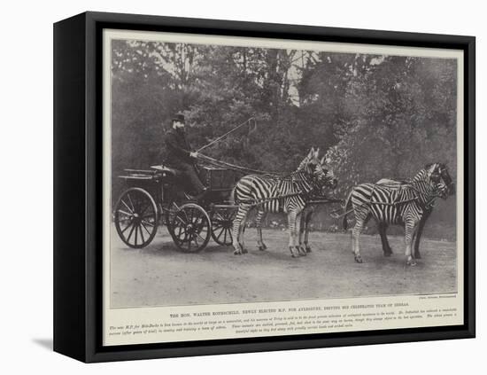 The Honourable Walter Rothschild-null-Framed Premier Image Canvas