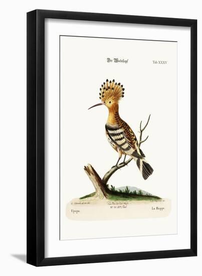 The Hoopoe, 1749-73-George Edwards-Framed Giclee Print