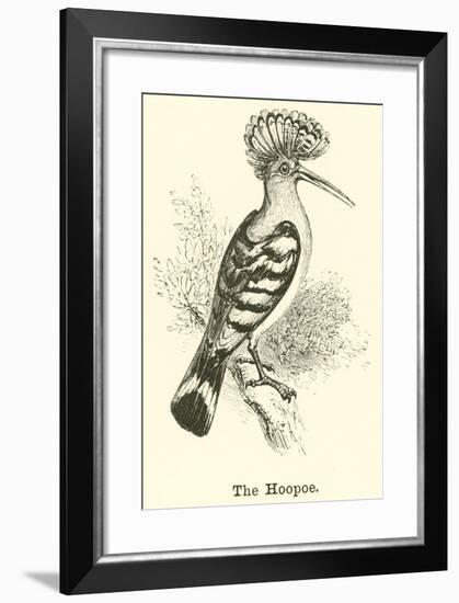 The Hoopoe-null-Framed Giclee Print