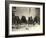 The Hopi Mealing Trough-Edward S^ Curtis-Framed Photo