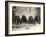 The Hopi Mealing Trough-Edward S^ Curtis-Framed Photo