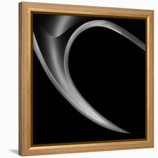 The Horn-Gilbert Claes-Framed Premier Image Canvas