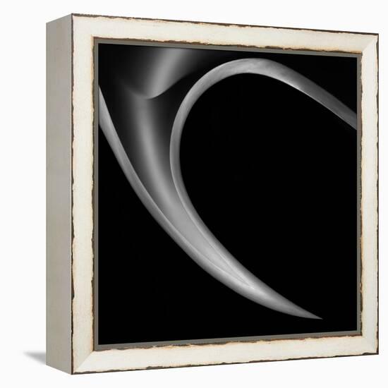 The Horn-Gilbert Claes-Framed Premier Image Canvas