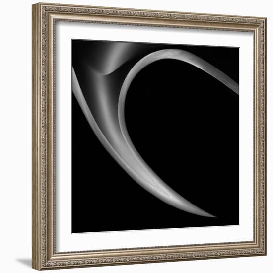 The Horn-Gilbert Claes-Framed Photographic Print