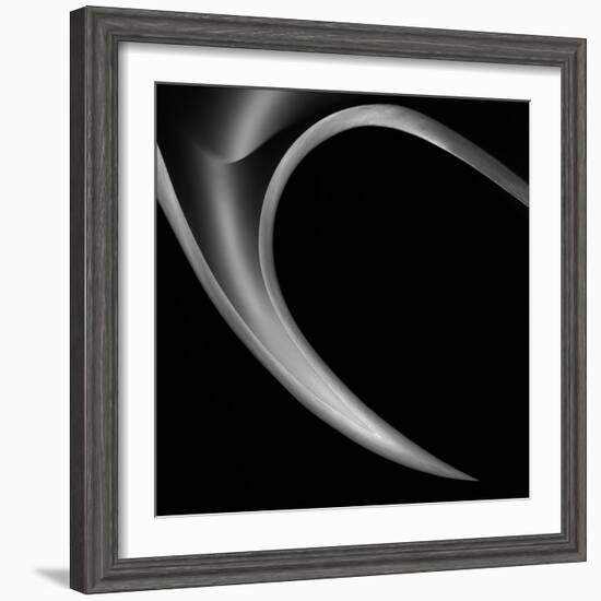 The Horn-Gilbert Claes-Framed Photographic Print