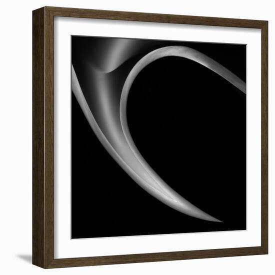 The Horn-Gilbert Claes-Framed Photographic Print