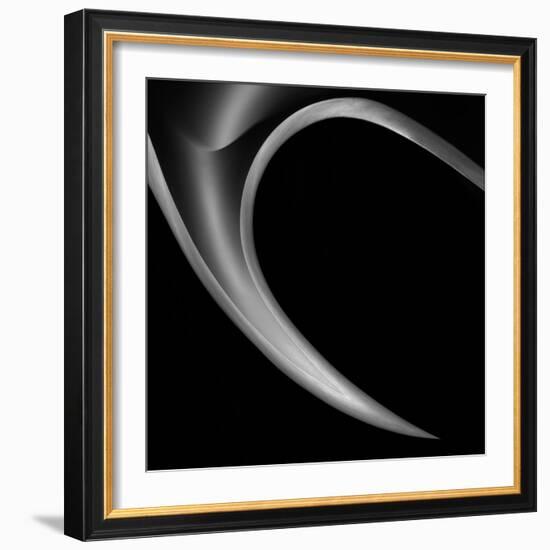 The Horn-Gilbert Claes-Framed Photographic Print