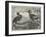 The Hornbills, in the Garden of the Zoological Society, Regent's Park-null-Framed Giclee Print