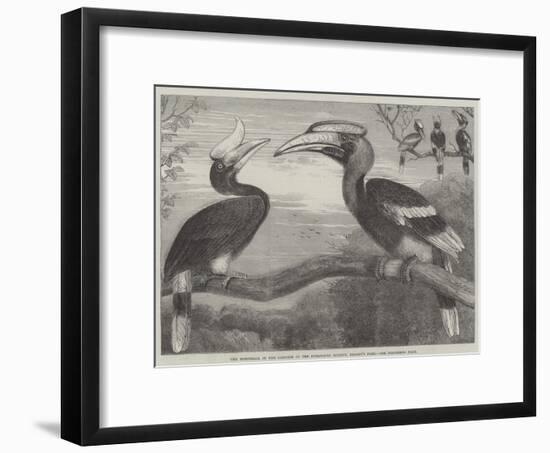The Hornbills, in the Garden of the Zoological Society, Regent's Park-null-Framed Giclee Print