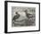 The Hornbills, in the Garden of the Zoological Society, Regent's Park-null-Framed Giclee Print