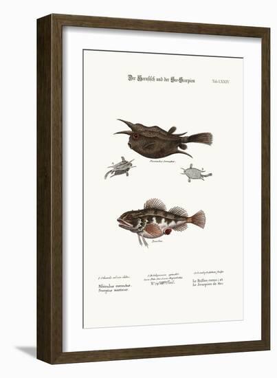 The Horned Fish, and the Sea Scorpion, 1749-73-George Edwards-Framed Giclee Print