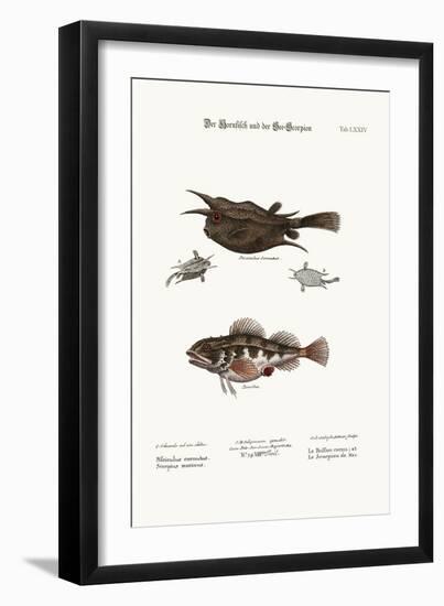 The Horned Fish, and the Sea Scorpion, 1749-73-George Edwards-Framed Giclee Print