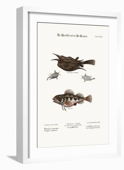 The Horned Fish, and the Sea Scorpion, 1749-73-George Edwards-Framed Giclee Print