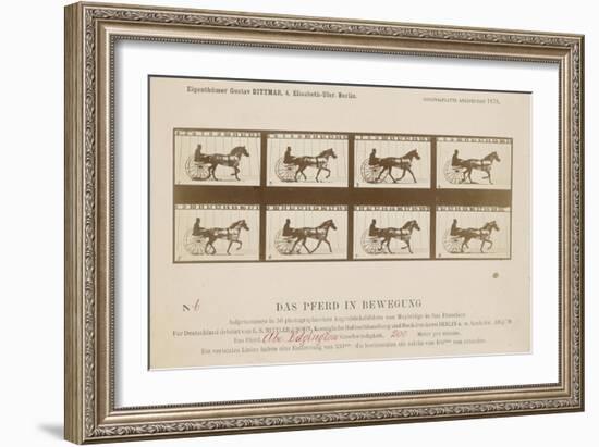 The Horse in Motion', 1878-Eadweard Muybridge-Framed Giclee Print