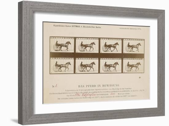 The Horse in Motion', 1878-Eadweard Muybridge-Framed Giclee Print