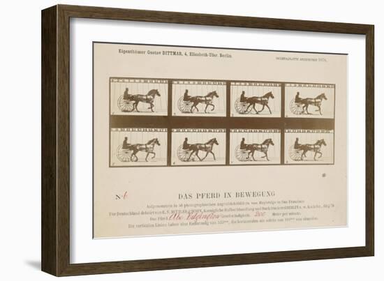 The Horse in Motion', 1878-Eadweard Muybridge-Framed Giclee Print