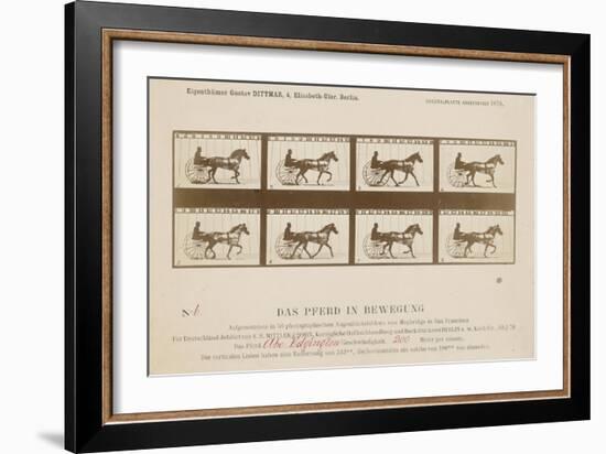 The Horse in Motion', 1878-Eadweard Muybridge-Framed Giclee Print