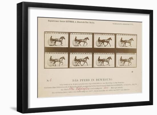 The Horse in Motion', 1878-Eadweard Muybridge-Framed Giclee Print