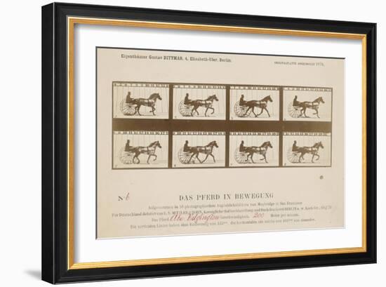 The Horse in Motion', 1878-Eadweard Muybridge-Framed Giclee Print