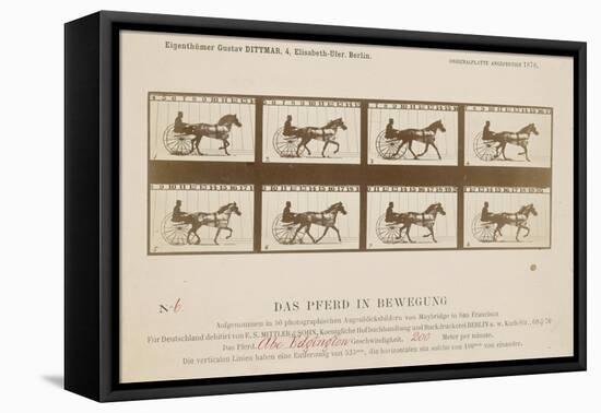 The Horse in Motion', 1878-Eadweard Muybridge-Framed Premier Image Canvas