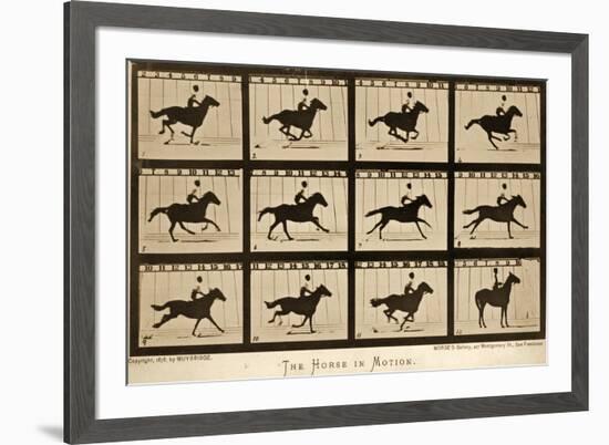 The Horse in Motion, 'Animal Locomotion' Series, C.1878-Eadweard Muybridge-Framed Giclee Print