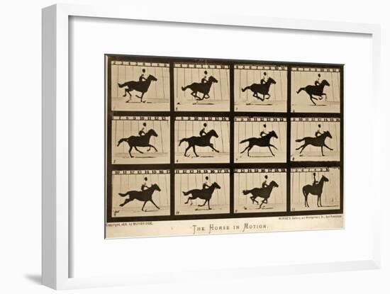 The Horse in Motion, 'Animal Locomotion' Series, C.1878-Eadweard Muybridge-Framed Giclee Print