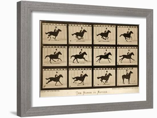 The Horse in Motion, 'Animal Locomotion' Series, C.1878-Eadweard Muybridge-Framed Giclee Print