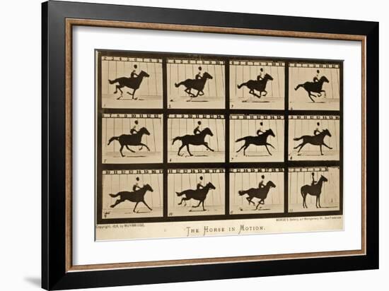 The Horse in Motion, 'Animal Locomotion' Series, C.1878-Eadweard Muybridge-Framed Giclee Print