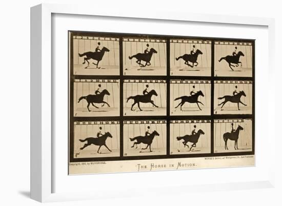 The Horse in Motion, 'Animal Locomotion' Series, C.1878-Eadweard Muybridge-Framed Giclee Print