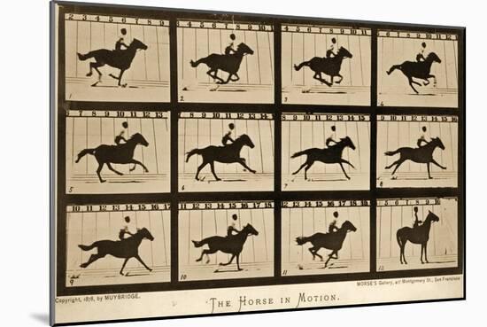 The Horse in Motion, 'Animal Locomotion' Series, C.1878-Eadweard Muybridge-Mounted Giclee Print