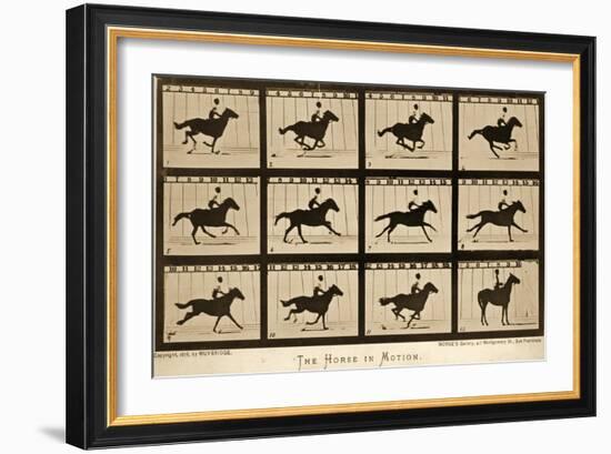 The Horse in Motion, 'Animal Locomotion' Series, C.1878-Eadweard Muybridge-Framed Giclee Print