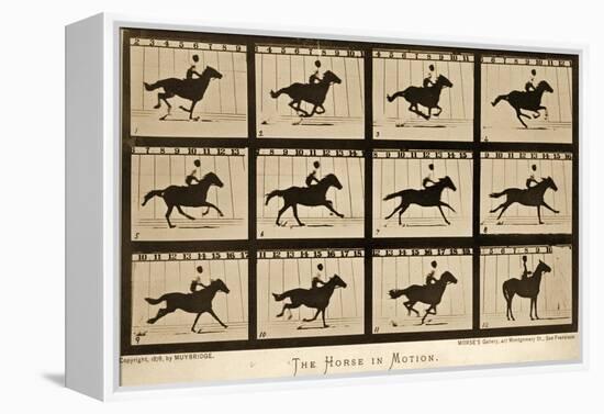 The Horse in Motion, 'Animal Locomotion' Series, C.1878-Eadweard Muybridge-Framed Premier Image Canvas