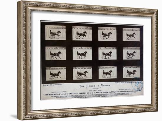 The Horse in Motion-Eadweard Muybridge-Framed Giclee Print