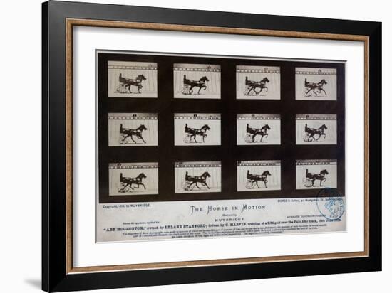 The Horse in Motion-Eadweard Muybridge-Framed Giclee Print