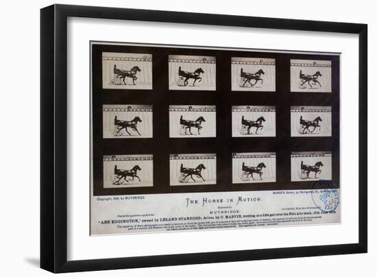 The Horse in Motion-Eadweard Muybridge-Framed Giclee Print