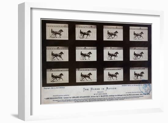 The Horse in Motion-Eadweard Muybridge-Framed Giclee Print