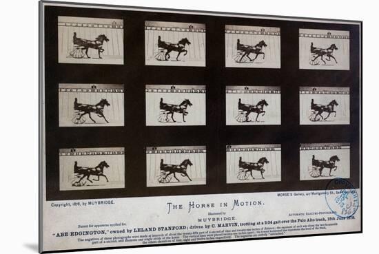 The Horse in Motion-Eadweard Muybridge-Mounted Giclee Print