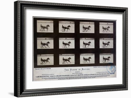 The Horse in Motion-Eadweard Muybridge-Framed Giclee Print