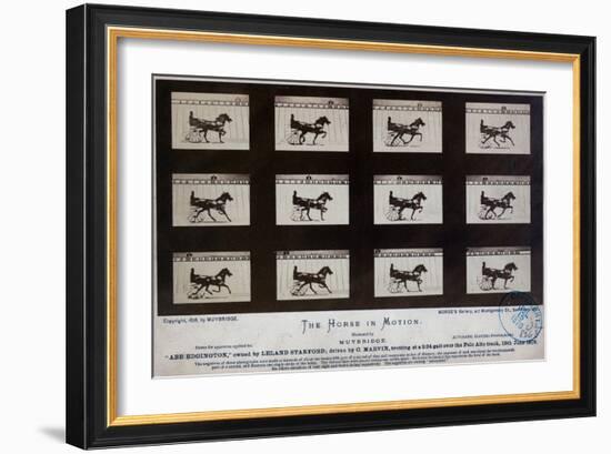 The Horse in Motion-Eadweard Muybridge-Framed Giclee Print