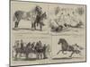 The Horse Show at the Alexandra Park-Alfred Chantrey Corbould-Mounted Giclee Print