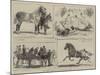 The Horse Show at the Alexandra Park-Alfred Chantrey Corbould-Mounted Giclee Print