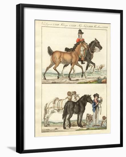 The Horse with its Different Kinds-null-Framed Giclee Print